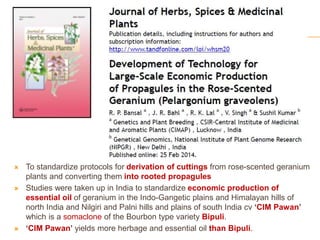  To standardize protocols for derivation of cuttings from rose-scented geranium
plants and converting them into rooted propagules
 Studies were taken up in India to standardize economic production of
essential oil of geranium in the Indo-Gangetic plains and Himalayan hills of
north India and Nilgiri and Palni hills and plains of south India cv ‘CIM Pawan’
which is a somaclone of the Bourbon type variety Bipuli.
 ‘CIM Pawan’ yields more herbage and essential oil than Bipuli.
 