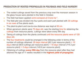 PRODUCTION OF ROOTED PROPAGULES IN POLYBAGS AND FIELD NURSERY
 The rooted cuttings saved from the previous crop over the monsoon season in
the glass house were planted in the field in October.
 The field had been applied vermi-compost at 5 tons ha−1.
 The field plot was divided into four parts and each part planted with 30 cuttings
in six rows of five plants each.
 The plant-to-plant and row-to-row distance was kept at 50 cm.
 When geranium plants were 75 days old, was the starting time for obtaining the
cuttings from resource plants. cuttings were taken every fifth day
 Taking of cuttings from the plants continued until the resource plants were of 120
days old.
 The four treatments could be arranged in the following order in terms of the
number of cuttings obtained: 20 days interval (82.3 per resource plant) < 15
days interval (98.8 cuttings per resource plant) < 10 days interval (114.2 per
resource plant) < 5 days interval (145.6 per resource plant).
 Obtaining of cuttings every fifth day from the resource plant after they had
attained the age of 11 weeks resulted in the highest yield of propagules
 