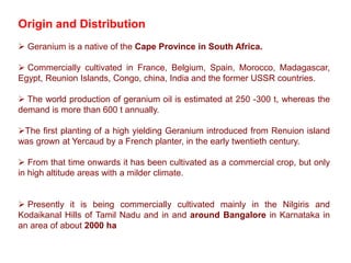 Origin and Distribution
 Geranium is a native of the Cape Province in South Africa.
 Commercially cultivated in France, Belgium, Spain, Morocco, Madagascar,
Egypt, Reunion Islands, Congo, china, India and the former USSR countries.
 The world production of geranium oil is estimated at 250 -300 t, whereas the
demand is more than 600 t annually.
The first planting of a high yielding Geranium introduced from Renuion island
was grown at Yercaud by a French planter, in the early twentieth century.
 From that time onwards it has been cultivated as a commercial crop, but only
in high altitude areas with a milder climate.
 Presently it is being commercially cultivated mainly in the Nilgiris and
Kodaikanal Hills of Tamil Nadu and in and around Bangalore in Karnataka in
an area of about 2000 ha
 