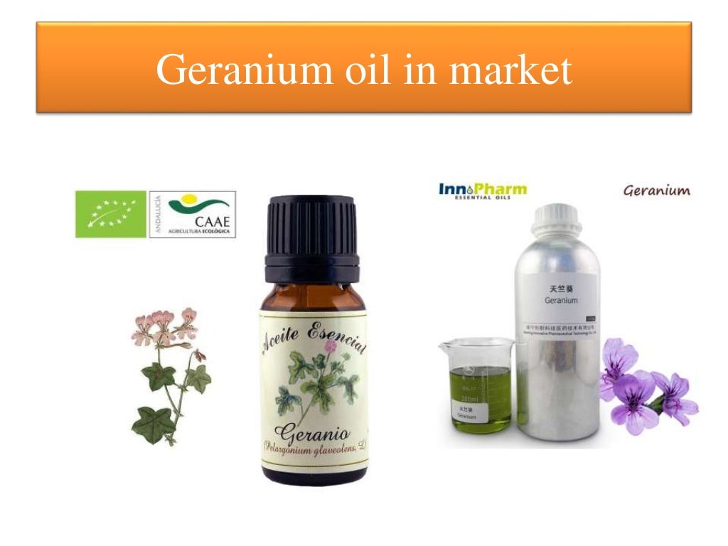 Extraction of Essential oil from Scented Geranium