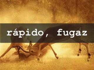 rápido, fugaz 