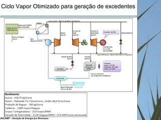 UNICAMP – Geração de Energia por Biomassa Ciclo Vapor Otimizado para geração de excedentes 