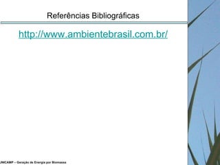 UNICAMP – Geração de Energia por Biomassa http://www.ambientebrasil.com.br/ Referências Bibliográficas 
