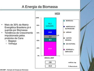 UNICAMP – Geração de Energia por Biomassa A Energia da Biomassa MEB Mais de 30% da Matriz Energética Brasileira já é suprida por Biomassa Tendência de Crescimento impulsionada pelos produtos da Cana Bagaço  Vinhaça 