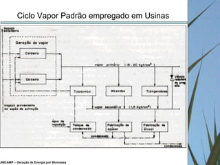 UNICAMP – Geração de Energia por Biomassa Ciclo Vapor Padrão empregado em Usinas 