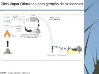 UNICAMP – Geração de Energia por Biomassa Ciclo Vapor Otimizado para geração de excedentes 