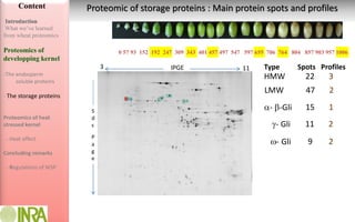 Monitoring of storage proteins: accumulation and impact of high ...