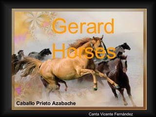 Gerard Horses Caballo Prieto Azabache Canta Vicente Fernández 