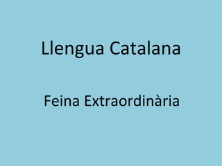 Llengua Catalana

Feina Extraordinària
 