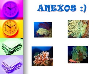ANEXOS :)
