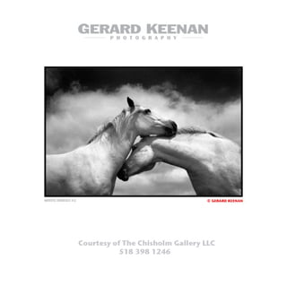 Gerard Keenan 1, Courtesy of Chisholm Gallery