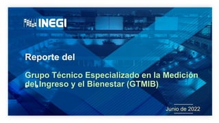 Reporte del
Junio de 2022
Grupo Técnico Especializado en la Medición
del Ingreso y el Bienestar (GTMIB)
 