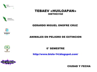 TEBAEV «HUILOAPAN» 30ETH0310Z GERARDO MIGUEL ONOFRE CRUZ  ANIMALES EN PELIGRO DE EXTINCION 6° SEMESTRE http://www.biolo-14.blogspot.com/ CIUDAD Y FECHA 