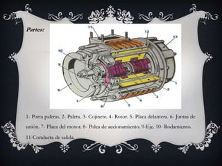 Partes:
1- Porta paletas. 2- Paleta. 3- Cojinete. 4- Rotor. 5- Placa delantera. 6- Juntas de
unión. 7- Placa del motor. 8- Polea de accionamiento. 9-Eje. 10- Rodamiento.
11-Conducta de salida.
 