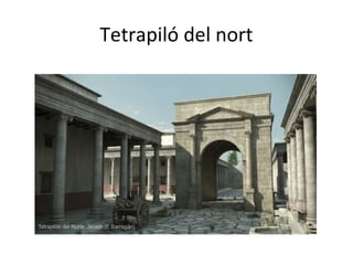 Tetrapiló del nort
 