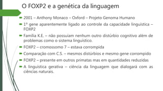 O FOXP2 e a genética da linguagem
 2001 – Anthony Monaco – Oxford – Projeto Genoma Humano
 1º gene aparentemente ligado ao controle da capacidade linguística –
FOXP2
 Família K.E. – não possuíam nenhum outro distúrbio cognitivo além de
problemas como o sistema linguístico.
 FOXP2 – cromossomo 7 – estava corrompida
 Comparação com C.S. – mesmos distúrbios e mesmo gene corrompido
 FOXP2 – presente em outros primatas mas em quantidades reduzidas
 A linguística gerativa – ciência da linguagem que dialogará com as
ciências naturais.
 