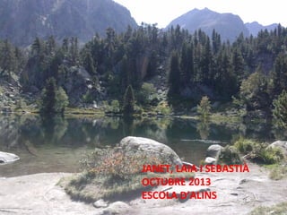 JANET, LAIA I SEBASTIÀ
OCTUBRE 2013
ESCOLA D’ALINS

 