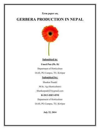 Term paper on,
GERBERA PRODUCTION IN NEPAL
Submitted to:
Umed Pun (Ph. D)
Department of Horticulture
IAAS, PG Campus, TU, Kirtipur
Submitted by:
Shankar Paudel
M.Sc. Ag (Horticulture)
Shankarpudel23@gmail.com
R-2013-HRT-05M
Department of Horticulture
IAAS, PG Campus, TU, Kirtipur
July 22, 2014
 