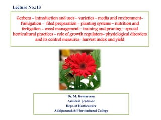 Gerbera - introduction and uses – varieties – media and environment-
Fumigation - filed preparation - planting systems – nutrition and
fertigation - weed management – training and pruning – special
horticultural practices - role of growth regulators- physiological disorders
and its control measures- harvest index and yield
Lecture No.:13
Dr. M. Kumaresan
Assistant professor
Dept. of Horticulture
Adhiparasakthi Horticultural College
 