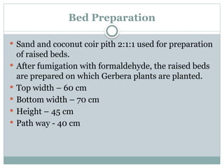 Bed Preparation
 Sand and coconut coir pith 2:1:1 used for preparation
of raised beds.
 After fumigation with formaldehyde, the raised beds
are prepared on which Gerbera plants are planted.
 Top width – 60 cm
 Bottom width – 70 cm
 Height – 45 cm
 Path way - 40 cm
 