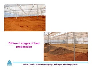 Different stages of bed
preparation
 