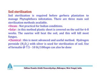 Soil sterilization
Soil sterilization is required before gerbera plantation to
manage Phytophthora infestation. There are three main soil
sterilization methods available.
•Steam : Not practical for Indian conditions.
•Solar : in this method plastic sheet is covered on the soil for 6-8
weeks. The sunrise will heat the soil, and this will kill most
fungus.
•Chemical : this is most advanced and useful method. Hydrogen
peroxide (H2O2) with silver is used for sterilization of soil. Use
of formalin @ 7.5 - 10 lit/100sqm can also be done
Soil sterilization
Soil sterilization is required before gerbera plantation to
manage Phytophthora infestation. There are three main soil
sterilization methods available.
•Steam : Not practical for Indian conditions.
•Solar : in this method plastic sheet is covered on the soil for 6-8
weeks. The sunrise will heat the soil, and this will kill most
fungus.
•Chemical : this is most advanced and useful method. Hydrogen
peroxide (H2O2) with silver is used for sterilization of soil. Use
of formalin @ 7.5 - 10 lit/100sqm can also be done
 