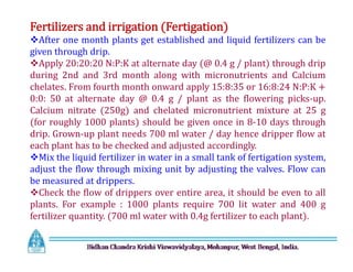 Fertilizers and irrigation (Fertigation)
After one month plants get established and liquid fertilizers can be
given through drip.
Apply 20:20:20 N:P:K at alternate day (@ 0.4 g / plant) through drip
during 2nd and 3rd month along with micronutrients and Calcium
chelates. From fourth month onward apply 15:8:35 or 16:8:24 N:P:K +
0:0: 50 at alternate day @ 0.4 g / plant as the flowering picks-up.
Calcium nitrate (250g) and chelated micronutrient mixture at 25 g
(for roughly 1000 plants) should be given once in 8-10 days through
drip. Grown-up plant needs 700 ml water / day hence dripper flow at
each plant has to be checked and adjusted accordingly.
Mix the liquid fertilizer in water in a small tank of fertigation system,
adjust the flow through mixing unit by adjusting the valves. Flow can
be measured at drippers.
Check the flow of drippers over entire area, it should be even to all
plants. For example : 1000 plants require 700 lit water and 400 g
fertilizer quantity. (700 ml water with 0.4g fertilizer to each plant).
Fertilizers and irrigation (Fertigation)
After one month plants get established and liquid fertilizers can be
given through drip.
Apply 20:20:20 N:P:K at alternate day (@ 0.4 g / plant) through drip
during 2nd and 3rd month along with micronutrients and Calcium
chelates. From fourth month onward apply 15:8:35 or 16:8:24 N:P:K +
0:0: 50 at alternate day @ 0.4 g / plant as the flowering picks-up.
Calcium nitrate (250g) and chelated micronutrient mixture at 25 g
(for roughly 1000 plants) should be given once in 8-10 days through
drip. Grown-up plant needs 700 ml water / day hence dripper flow at
each plant has to be checked and adjusted accordingly.
Mix the liquid fertilizer in water in a small tank of fertigation system,
adjust the flow through mixing unit by adjusting the valves. Flow can
be measured at drippers.
Check the flow of drippers over entire area, it should be even to all
plants. For example : 1000 plants require 700 lit water and 400 g
fertilizer quantity. (700 ml water with 0.4g fertilizer to each plant).
 