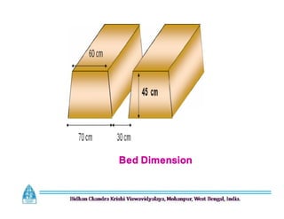 Bed Dimension
 