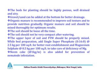 The beds for planting should be highly porous, well drained
and airy.
Gravel/sand can be added at the bottom for better drainage.
Organic manure is recommended to improve soil texture and to
provide nutrition gradually. Organic manure and soil should be
mixed thoroughly for optimum results.
The soil should be loose all the time.
The soil should not be very compact after watering.
The upper layer of soil and FYM should be properly mixed.
While bed preparation, add Single Super Phosphate (0:16:0) @
2.5 kg per 100 sq.ft. for better root establishment and Magnesium
Sulphate @ 0.5 kg per 100 sq.ft. to take care of deficiency of Mg.
Neem cake (@1kg/m) is also added for prevention of
nematode infestation.
The beds for planting should be highly porous, well drained
and airy.
Gravel/sand can be added at the bottom for better drainage.
Organic manure is recommended to improve soil texture and to
provide nutrition gradually. Organic manure and soil should be
mixed thoroughly for optimum results.
The soil should be loose all the time.
The soil should not be very compact after watering.
The upper layer of soil and FYM should be properly mixed.
While bed preparation, add Single Super Phosphate (0:16:0) @
2.5 kg per 100 sq.ft. for better root establishment and Magnesium
Sulphate @ 0.5 kg per 100 sq.ft. to take care of deficiency of Mg.
Neem cake (@1kg/m) is also added for prevention of
nematode infestation.
 