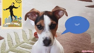 ٴ?”
 