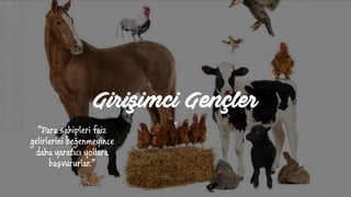 Girişimci Gençler
“
“Para sahipleri faiz
gelirlerini beğenmeyince
daha yaratıcı yollara
başvururlar.”
 