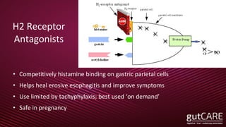 H2 Receptor
Antagonists
• Competitively histamine binding on gastric parietal cells
• Helps heal erosive esophagitis and improve symptoms
• Use limited by tachyphylaxis; best used ‘on demand’
• Safe in pregnancy
 