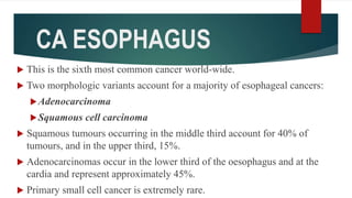 CA ESOPHAGUS
 This is the sixth most common cancer world-wide.
 Two morphologic variants account for a majority of esophageal cancers:
Adenocarcinoma
Squamous cell carcinoma
 Squamous tumours occurring in the middle third account for 40% of
tumours, and in the upper third, 15%.
 Adenocarcinomas occur in the lower third of the oesophagus and at the
cardia and represent approximately 45%.
 Primary small cell cancer is extremely rare.
 