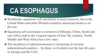 CA ESOPHAGUS
 Worldwide, squamous cell carcinoma is more common, but in the
United States and other Western countries adenocarcinoma is on
the rise.
 Squamous cell carcinoma is common in Ethiopia, China, South and
east Africa and in the Caspian regions of Iran. By contrast, North,
Middle and West Africa have low rates.
 The incidence of adenocarcinomas is increasing in western
industrialized countries – by three- to fivefold over the last 40 years
in Europe and the USA.
 