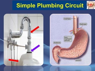 GERD,UNDERSTANDING | PPTX