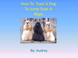 How To Train A Dog
To Jump Over A
Rope

By: Audrey

 