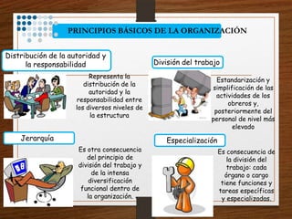 PRINCIPIOS BÁSICOS DE LA ORGANIZACIÓN


Distribución de la autoridad y
      la responsabilidad                       División del trabajo
                          Representa la
                                                                  Estandarización y
                        distribución de la
                                                                simplificación de las
                          autoridad y la
                                                                  actividades de los
                     responsabilidad entre
                                                                      obreros y,
                     los diversos niveles de
                                                                 posteriormente del
                          la estructura
                                                                personal de nivel más
                                                                        elevado
    Jerarquía                                     Especialización
                     Es otra consecuencia                           Es consecuencia de
                        del principio de                               la división del
                     división del trabajo y                            trabajo: cada
                          de la intensa                               órgano o cargo
                         diversificación                             tiene funciones y
                      funcional dentro de                           tareas específicas
                        la organización.                             y especializadas.
 