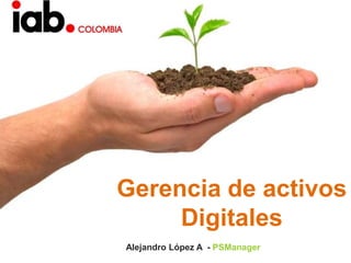 Gerencia de activos Digitales  Alejandro López A  - PSManager 