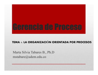 Gerencia de Proceso
TEMA 1: LA ORGANIZACIÓN ORIENTADA POR PROCESOS


Marta Silvia Tabares B., Ph.D
mstabare@udem.edu.co
 
