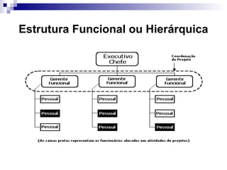 Estrutura Funcional ou Hierárquica
 