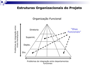 Organização Funcional
Problemas de integração entre departamentos
funcionais
Problemasdeintegraçãoentre
níveishierárquicos
“Ilhas
Funcionais”
Diretoria
Superint.
Depto.
Div.
Estruturas Organizacionais do ProjetoEstruturas Organizacionais do Projeto
 