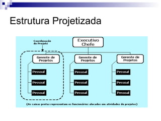 Estrutura Projetizada
 