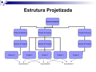 Estrutura Projetizada
Especialidade A Especialidade B Especialidade C
Gerência Superior
Divisão de Marketing Divisão de Projetos Divisão Financeira
Gerente de Projetos Gerente de Projetos Gerente de Projetos
Project # 1 Projeto 2 Projeto 3 Projeto 4 Projeto 5
 