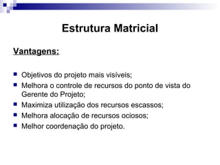 Estrutura Matricial
Vantagens:
 Objetivos do projeto mais visíveis;
 Melhora o controle de recursos do ponto de vista do
Gerente do Projeto;
 Maximiza utilização dos recursos escassos;
 Melhora alocação de recursos ociosos;
 Melhor coordenação do projeto.
 