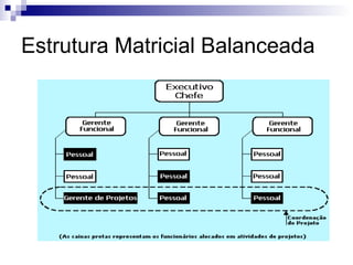 Estrutura Matricial Balanceada
 