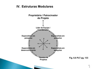 IV. Estruturas Modulares
Proprietário / Patrocinador
do Projeto

Líder de Equipe /
Coordenador
Especialista em
pesquisa

Especialista em
pesquisa

Especialista em
desenvolvimento

Especialista em
pesquisa

Técnico de
Projetos

Fig. 6.6 PLT pg. 133

11
4

 