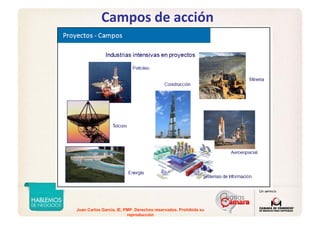 Juan Carlos Garcia, IE, PMP. Derechos reservados. Prohibida su
reproducción
Campos de acción
 