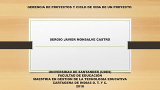 GERENCIA DE PROYECTOS Y CICLO DE VIDA DE UN PROYECTO
SERGIO JAVIER MONSALVE CASTRO
UNIVERSIDAD DE SANTANDER (UDES)
FACULTAD DE EDUCACIÓN
MAESTRIA EN GESTION DE LA TECNOLOGIA EDUCATIVA
CARTAGENA DE INDIAS D. T. Y C.
2018
 