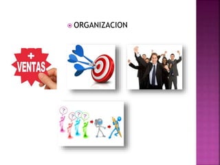  ORGANIZACION
 