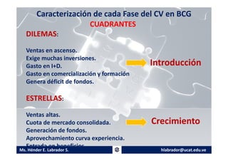 Gerencia estrategica matriz bcg | PDF